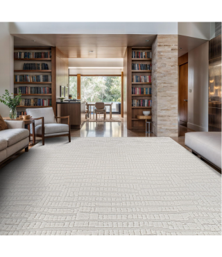 Indoor Area Rugs for Living Room Bedroom Kitchen