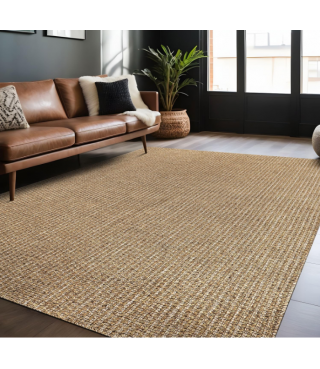 Natural Farmhouse Color Living Room Indoor Outdoor Area Rug