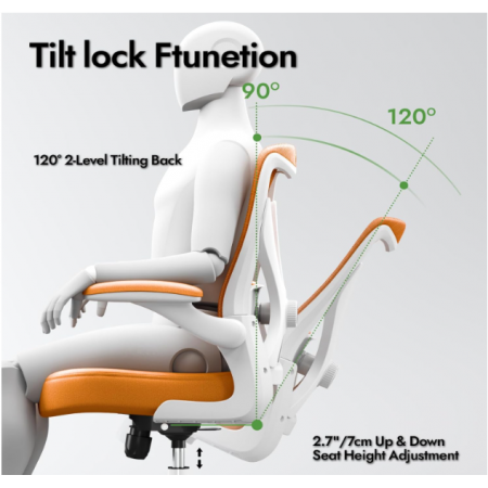 Office Chair - X-Shaped Computer Desk Chair Comfy