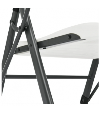 Commercial Plastic Folding Chair with Armrests (Set of 2)
