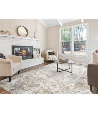 Boho Area Rug Living Room Rugs - Washable Neutral Modern Abstract Soft